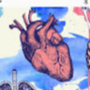 Meet your Posher, Siavash